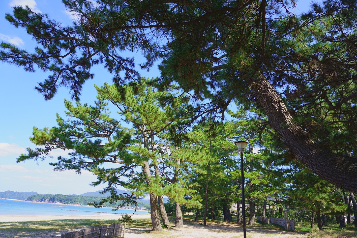 🏖️ 국화 해변(키쿠가하마) 이미지 7